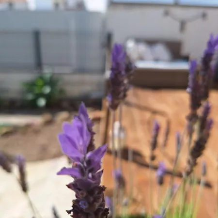 Casa de Férias Casinha Do Sul- Private Pool